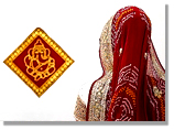 Indian Wedding tour