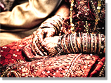 Indian Wedding tour