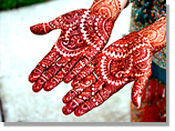 Indian Wedding tour