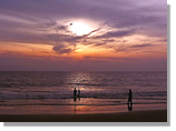 India Tour 